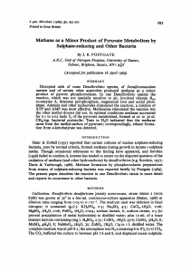 Methane as a Minor Product of Pyruvate Metabolism