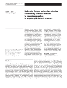 Molecular factors underlying selective vulnerability of motor neurons