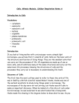 Cells, Photosynthesis, and Respiration Notes A