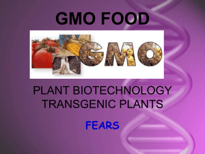 Moral and ethical issues in plant biotechnology. GMO food.