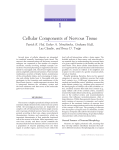 Cellular Components of Nervous Tissue