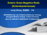 Enteric Gram-Negative Rods (Enterobacteriaceae)