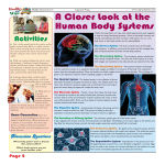 A Closer Look at the Human Body Systems