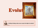 Evolution