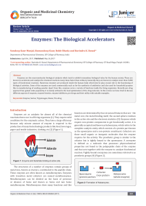 Enzymes: The Biological Accelerators