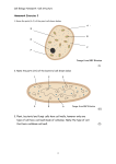 Homework Exercise 2 (6) 3. Plant, bacterial and fungi cells have cell