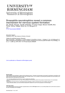 University of Birmingham Drosophila neurotrophins reveal a