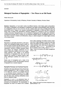 Biological Functions of Haptoglobin - New Pieces to an