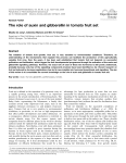 The role of auxin and gibberellin in tomato fruit set