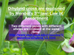 Dihybrid cross are explained by Mendel`s 3rd law: Law of Assortment