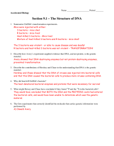 Section 9.1 – The Structure of DNA