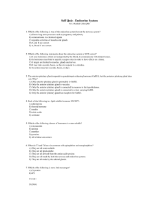 Self Quiz - Endocrine System