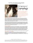 Coprophagy: Why Rodents Eat Their Droppings