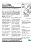 Mile-A-Minute or Invasive Plant Information Sheet