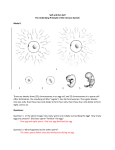 Self and Non Self The Underlying Principle of the Immune System