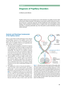 Diagnosis of Pupillary Disorders