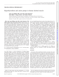 Hyperthyroidism and cation pumps in human skeletal muscle