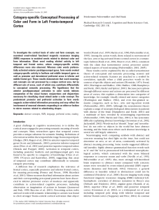 Category-specific Conceptual Processing of