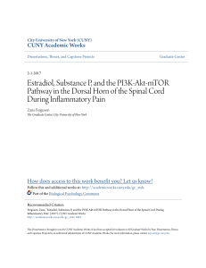 Estradiol, Substance P, and the PI3K-Akt