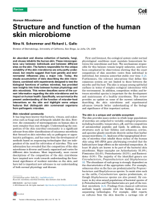 Structure and function of the human skin microbiome