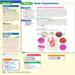 Body Organization