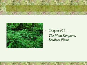 Seedless Plants, Chapter 27