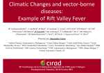 Climatic Changes and vector-borne diseases: Example of Rift Valley