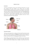 Respiratory System