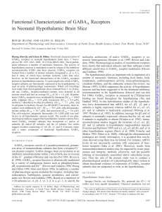 Functional Characterization of GABAA Receptors in Neonatal