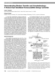 A Natural Dye-Sensitized Nanocrystalline Energy Converter