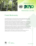 CBD Factsheet: Forest Biodiversity