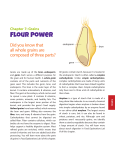 Flour Power student handout