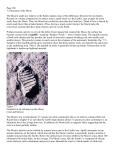 Page 188 7.2 Structure of the Moon The Moon`s small size relative to