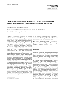 The Complete Mitochondrial DNA (mtDNA) of the Donkey and