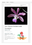 NMOG January 2017 - New Mexico Orchid Guild