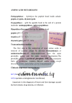 AMINO ACID METABOLISM Endopeptidases – hydrolyse the