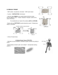 iii. muscle tissue - Madison Area Technical College