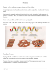 Proteins and Mutations