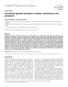 Unreduced gamete formation in plants