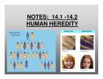 NOTES: 14.1 -14.2 HUMAN HEREDITY