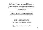 KC3002 International Finance /International Macroeconomics