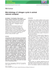Microbiology of nitrogen cycle in animal manure compost