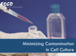 Minimizing Contamination in Cell Culture