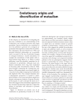 Evolutionary origins and diversification of mutualism