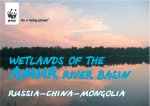WETLANDS OF THE AMUR RIVER BASIN