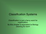 Classification Systems