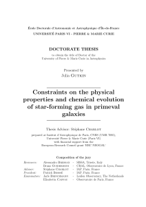Constraints on the physical properties and chemical evolution of star