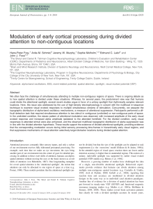 Modulation of early cortical processing during divided attention to