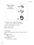 Water-soluble Vitamins: Coenzymes