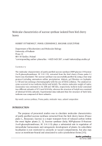 Molecular characteristics of sucrose synthase